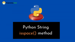 python string isspace