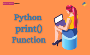 python print function