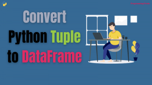 convert a tuple to a dataframe