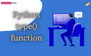 python type function
